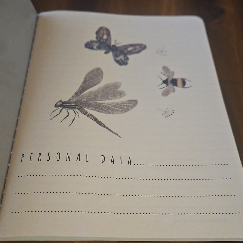 Bruno Visconti Insect & Butterfly Design Journal. - Picture 2 of 6